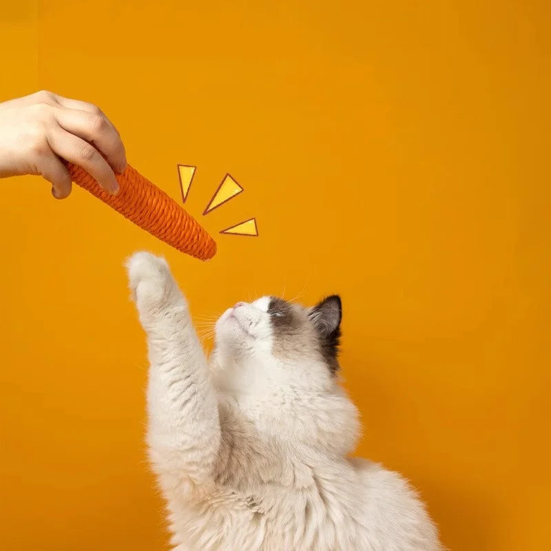 Cat Teething & Play Stick — Interactive Chew Toy for Cats