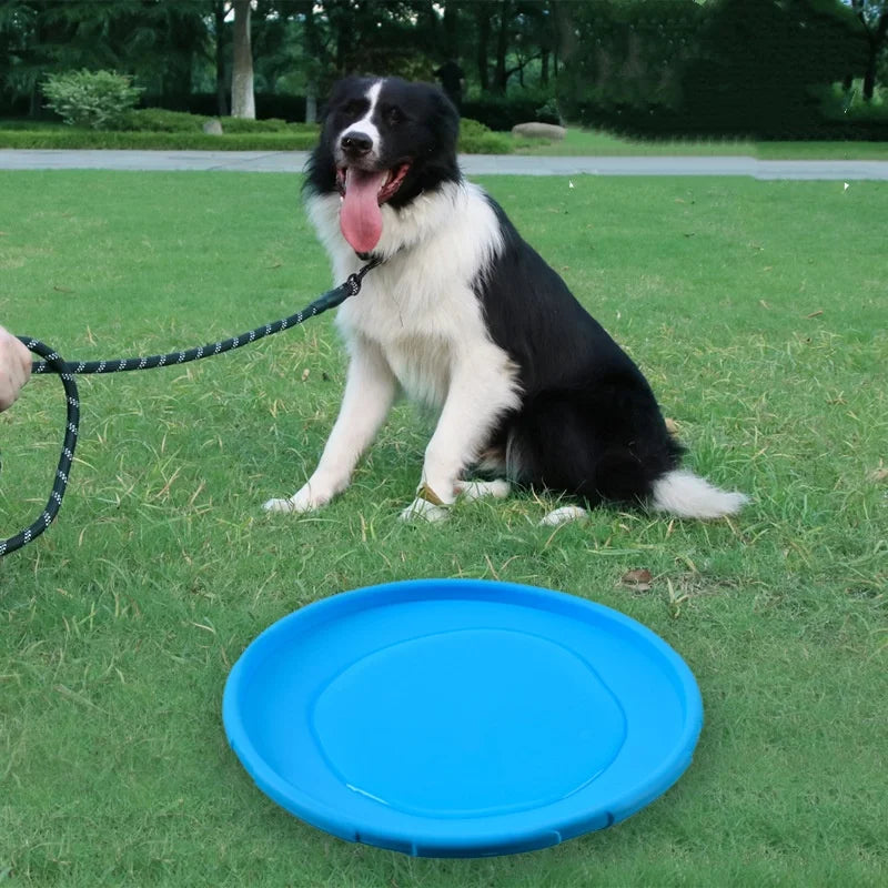 Silicone Flying Disc Dog & Cat Toy – Durable Rubber Frisbee for Interactive Play