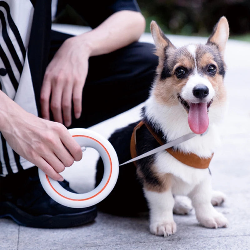 MOESTAR Retractable Dog Leash Lite – 3M Hands-Free Walking Rope for Dogs Up to 30kg | CE & FCC Certified