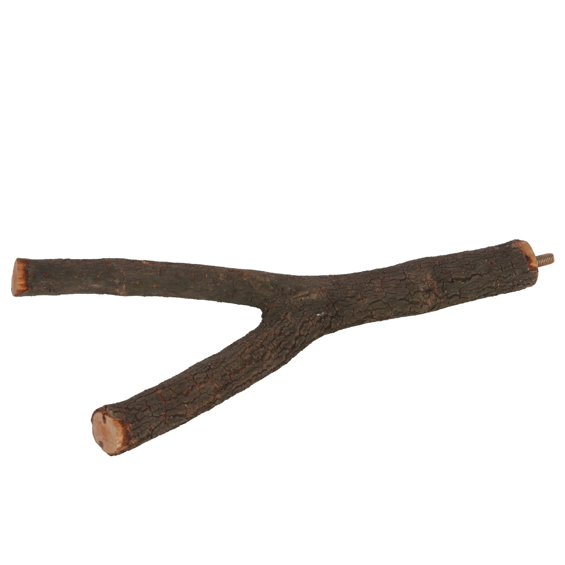 Natural Wood Bird Perch – Cage Branch Stand (15cm / 20cm / 30cm)