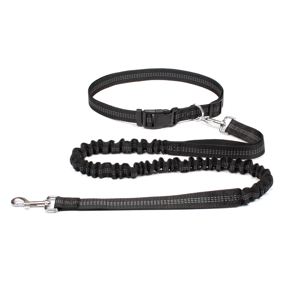 Hands-Free Dog Leash – Adjustable Waist Belt with Reflective Bungee for Running & Walking