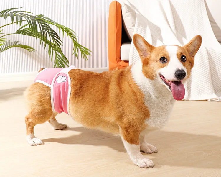 Reusable Female Dogs Diaper Pants Sanitary Female Dog Pants Diapers for Dogs Menstruation Pet Cat Physiological Safety Pants