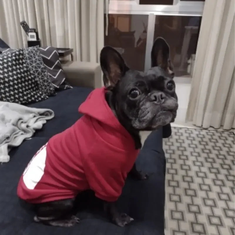 Dog Hoodie – Reflective All-Season Jacket for Medium & Large Breeds