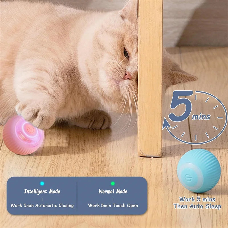 Smart Interactive Pet Ball – USB Rechargeable Auto-Moving Toy for Dogs & Cats