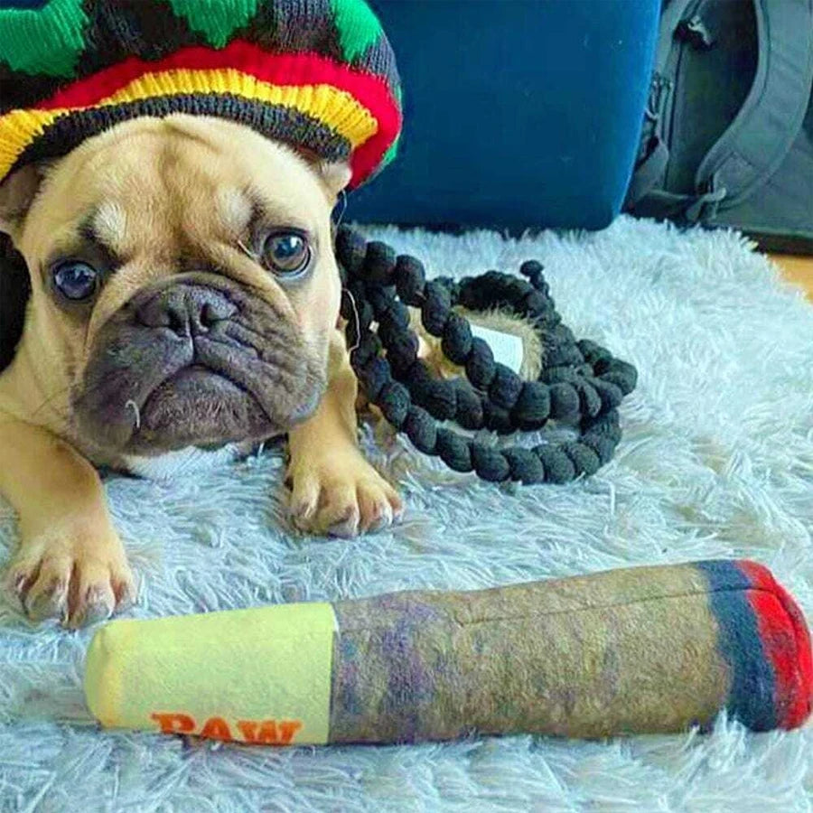 Cigar Design Plush Squeaky Dog Toy – Interactive Chew Toy for Small & Medium Dogs