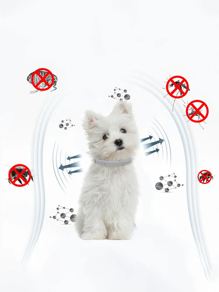Flea & Tick Protection Collar for Dogs & Cats