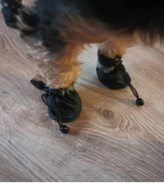 Waterproof Dog Boots – Anti-Slip Rain Shoes for Small Dogs & Cats (4-Pack)