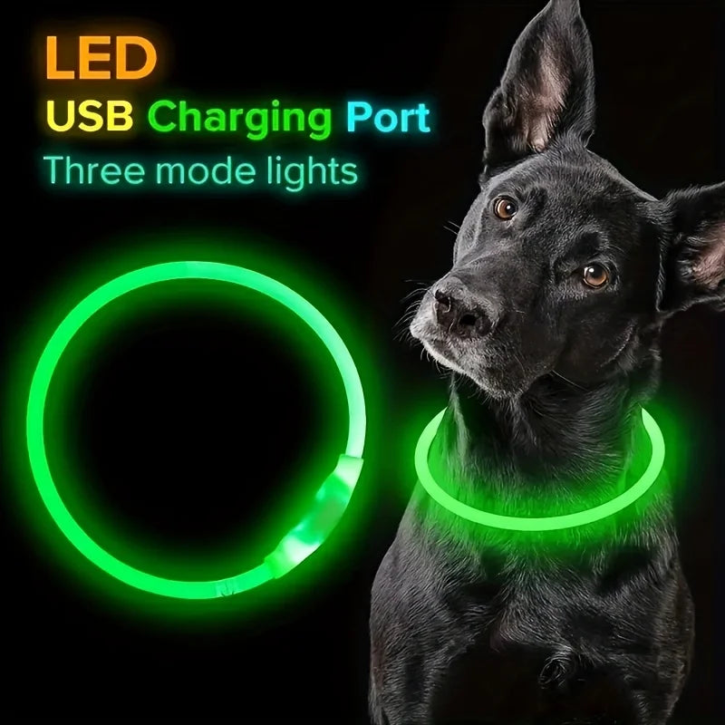 LED Dog Collar – USB Rechargeable Luminous Safety Collar for Night Walks