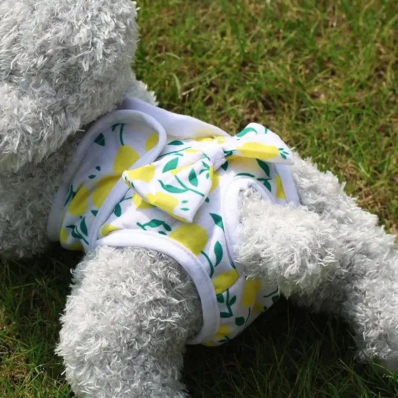 Dog & Cat Washable Physiological Pants – Reusable Pet Diapers for Female Dogs & Cats