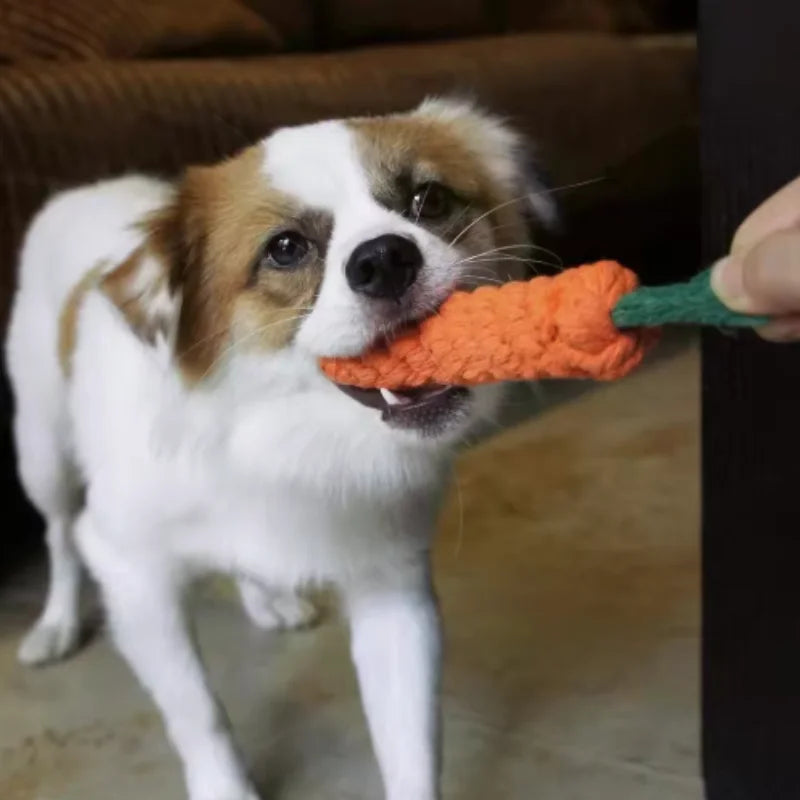 Cat Teething & Play Stick — Interactive Chew Toy for Cats