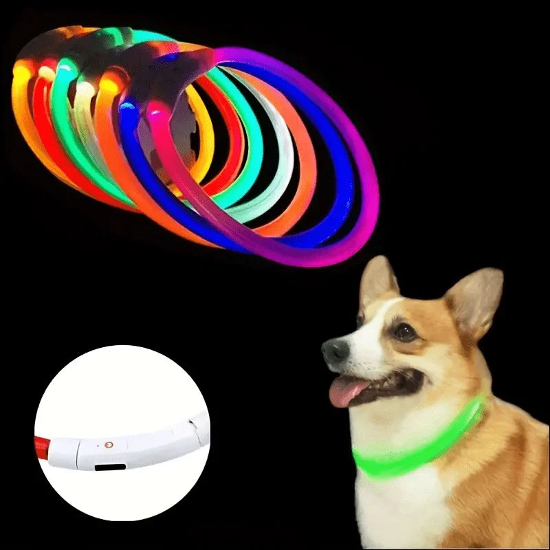 LED Dog Collar – USB Rechargeable Luminous Safety Collar for Night Walks