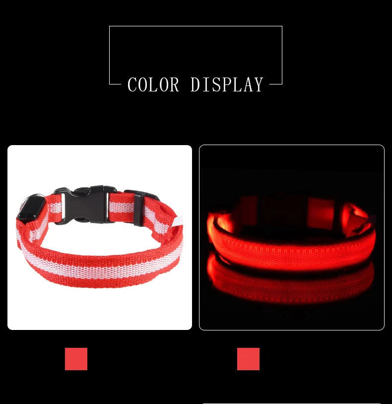 LED Light-Up Dog Collar – Nylon Night Safety Flashing Collar for Dogs