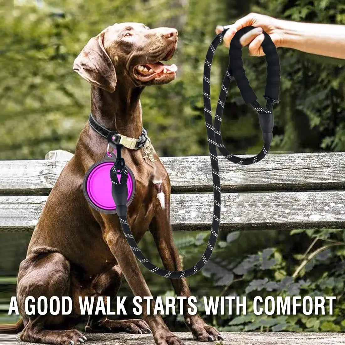 Reflective Nylon Dog Leash – Strong & Durable for All Dog Sizes